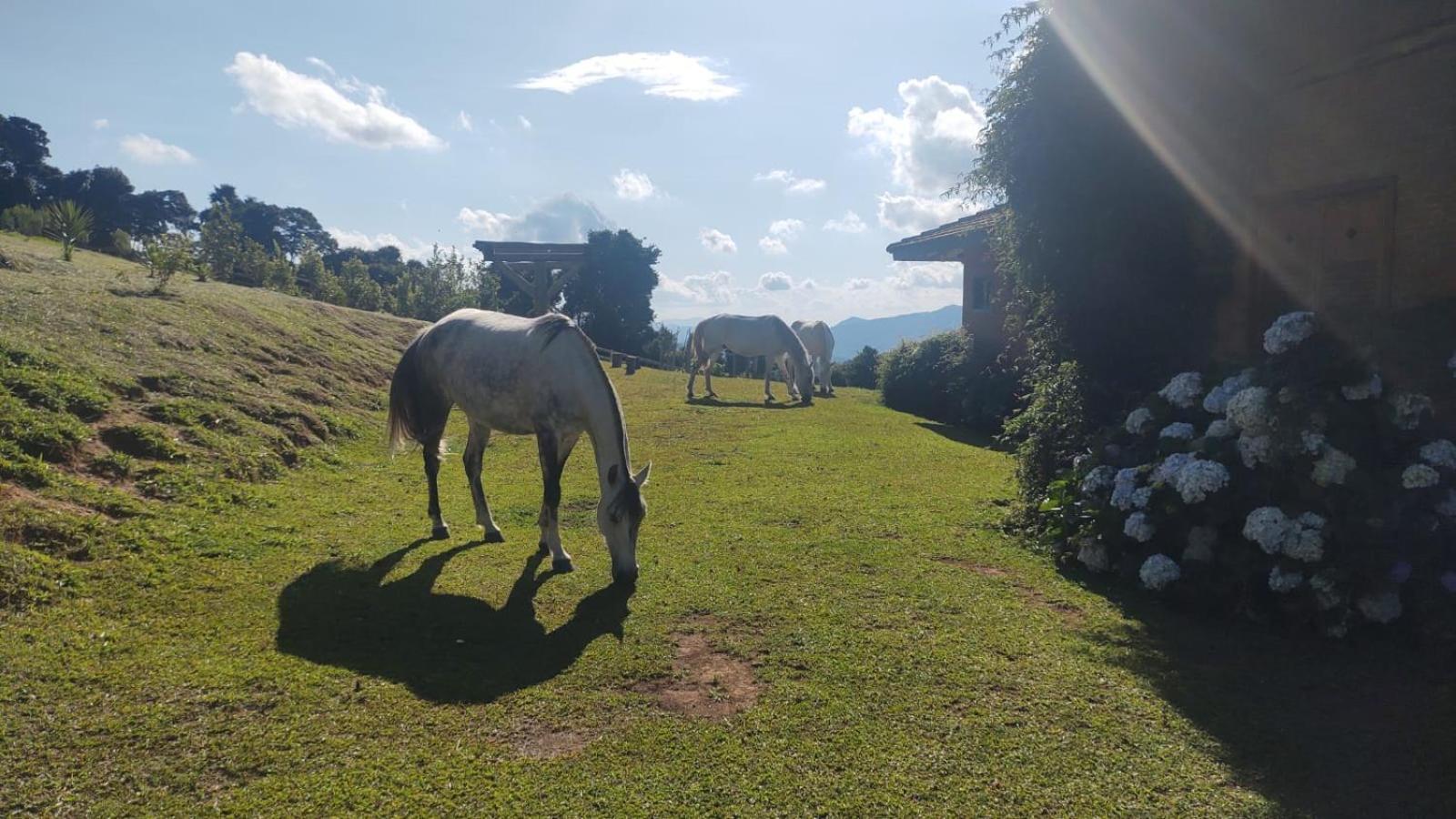 Montanha Home Monte Verde  Buitenkant foto